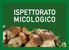 Servizio di Ispettorato Micologico